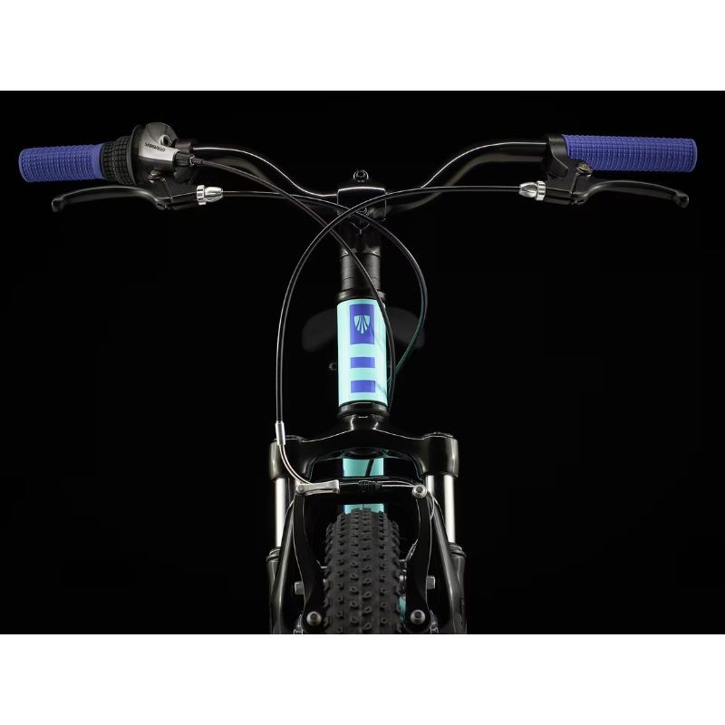 Bicicleta de montanha infantil Trek Precalibur 24