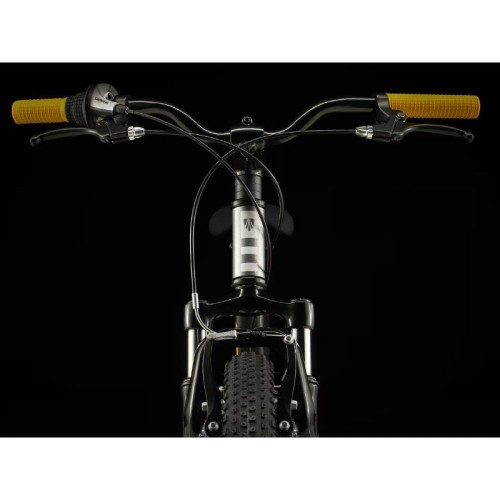 MTB per bambini Trek Precaliber 24