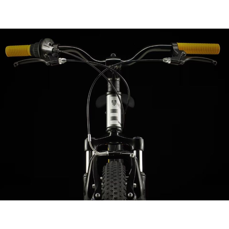 Mountainbike für Kinder Trek Precaliber 24