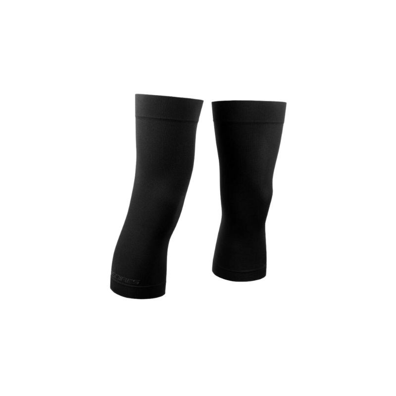 Jambières Assos Spring Fall Knee Warmers Evo