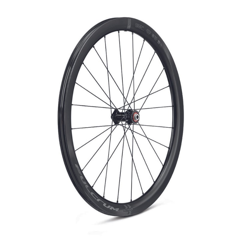 Fulcrum Wind 42 DB C23: ruota per bicicletta in carbonio