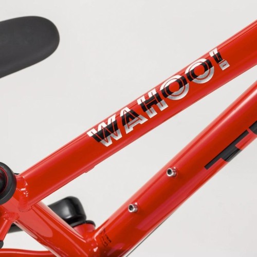 Bicicleta infantil Trek Wahoo de 24 polegadas