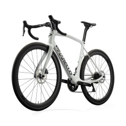 Cuissard pinarello 2025