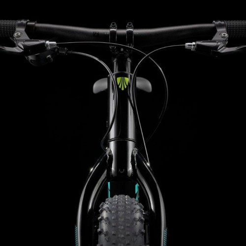 Trek Roscoe 20" Kinderfahrrad