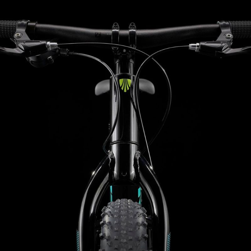 Bicicletta per bambini Trek Roscoe da 20 pollici