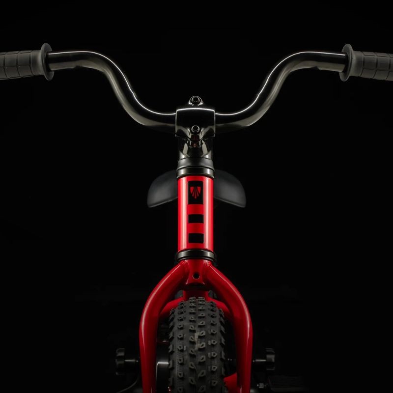 Bicicletta per bambini Trek Precaliber da 12 pollici