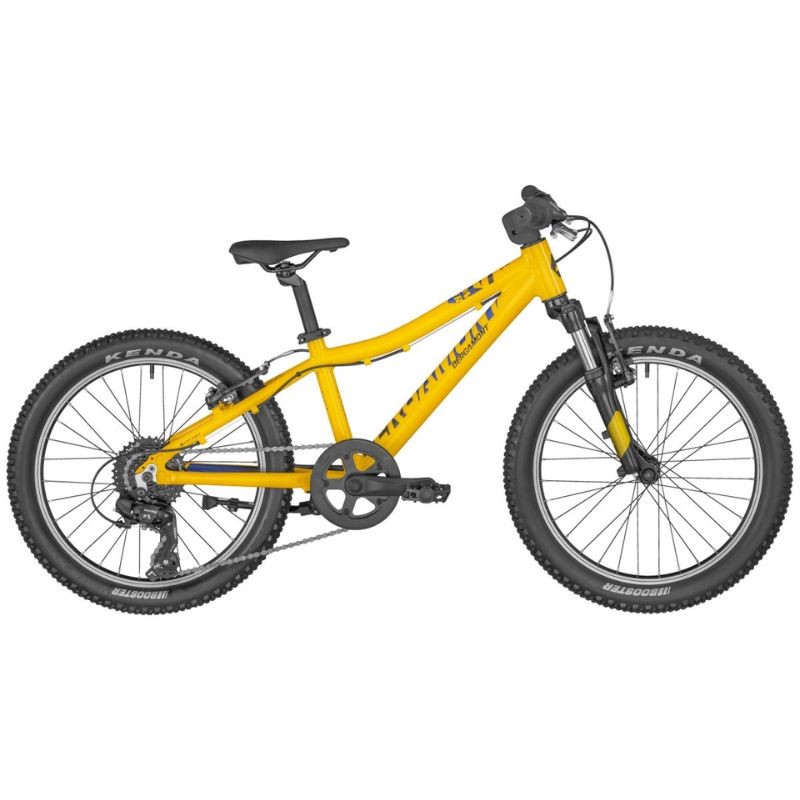 Bergamont Bergamonster 20 Kids Bike