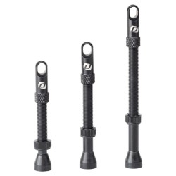 Paire de Valves Tubeless Syncros