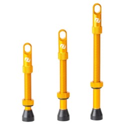 Paire de Valves Tubeless Syncros