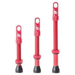 Paire de Valves Tubeless Syncros