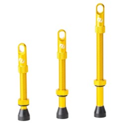 Paire de Valves Tubeless Syncros