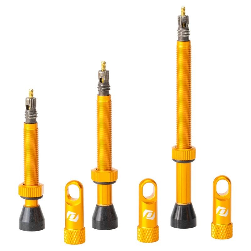 Paire de Valves Tubeless Syncros