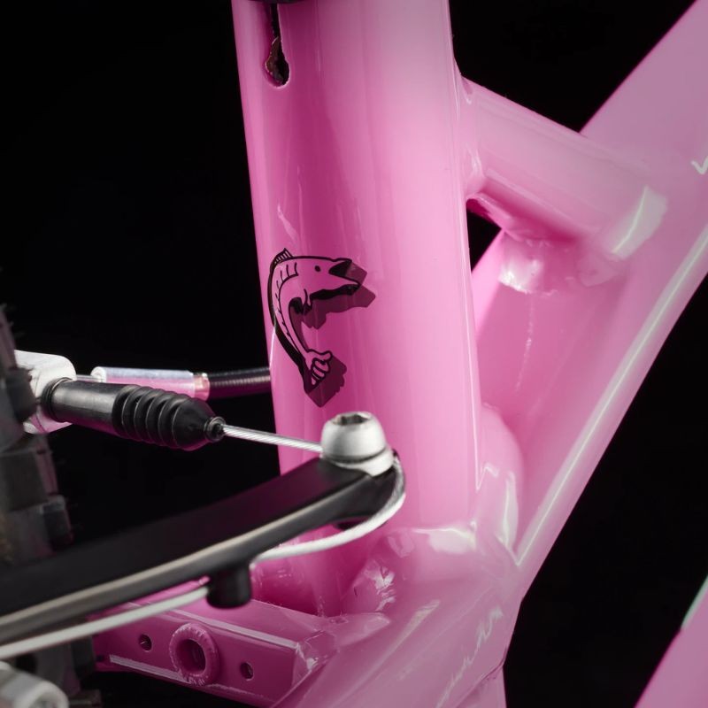 Trek Wahoo 20 Path 2025 children's bike