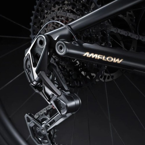 Mountain bike elettrica Amflow PL Carbon Pro