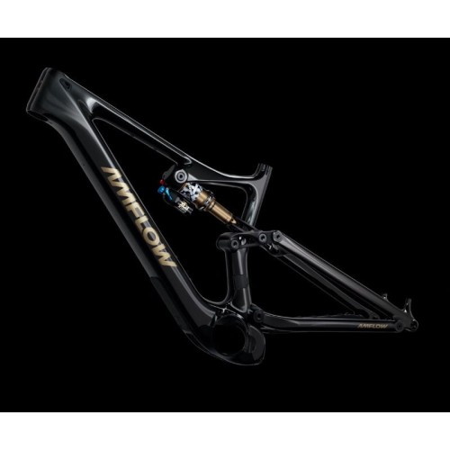 Bicicleta elétrica de montanha Amflow PL Carbon Pro