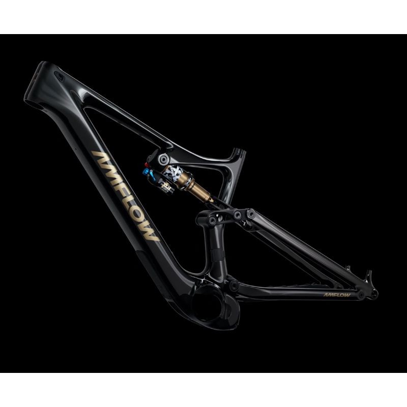 Bicicleta de montaña eléctrica Amflow PL Carbon Pro