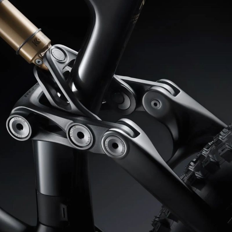 Bicicleta elétrica de montanha Amflow PL Carbon Pro