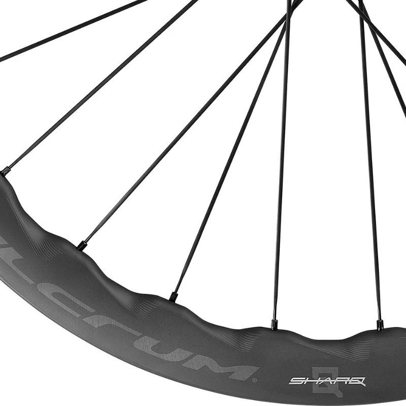 Pair of Fulcrum Sharq Disc 2 Way Fit C25 AFS XDR wheels