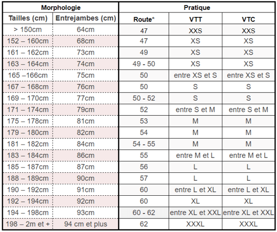 Taille vélo adulte